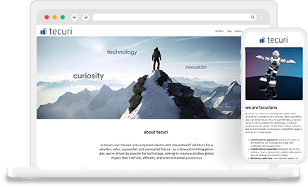 IT Consultants & Software Development